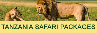 Tanzania safari packages