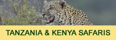 Kenya and Tanzania safari packages